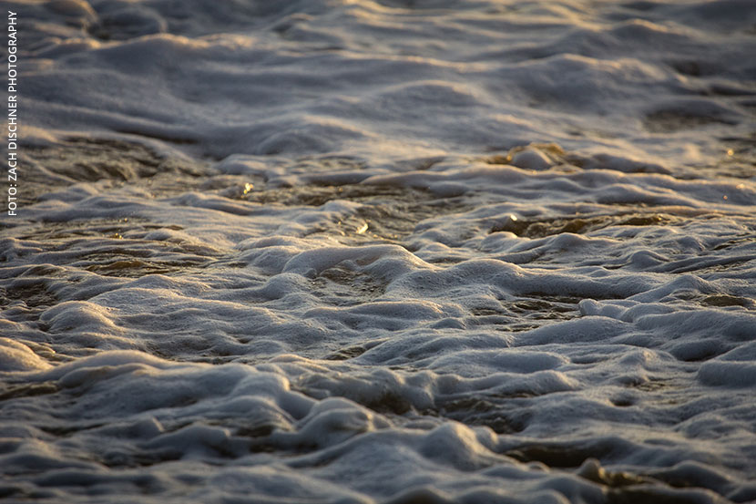 Finanzreport: Schaum oder reiner Wein?